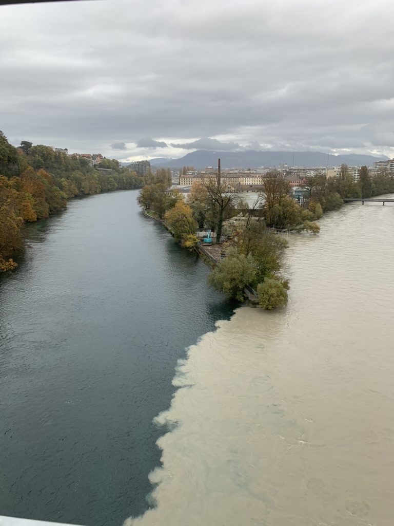 Geneva River Confluence